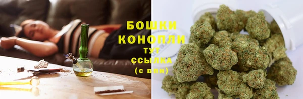 прущая мука Верея