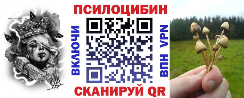 omg ССЫЛКА Дальнегорск Псилоцибиновые грибы прущие грибы